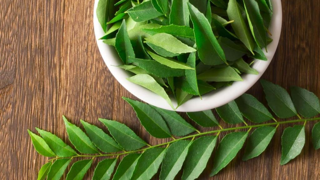 Benefits Curry Leaves for Weight Loss