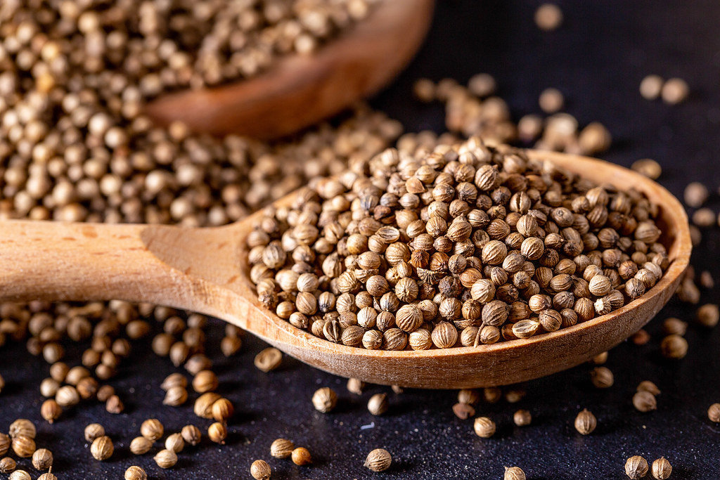 Benefits of Coriander Seeds for Weight Loss