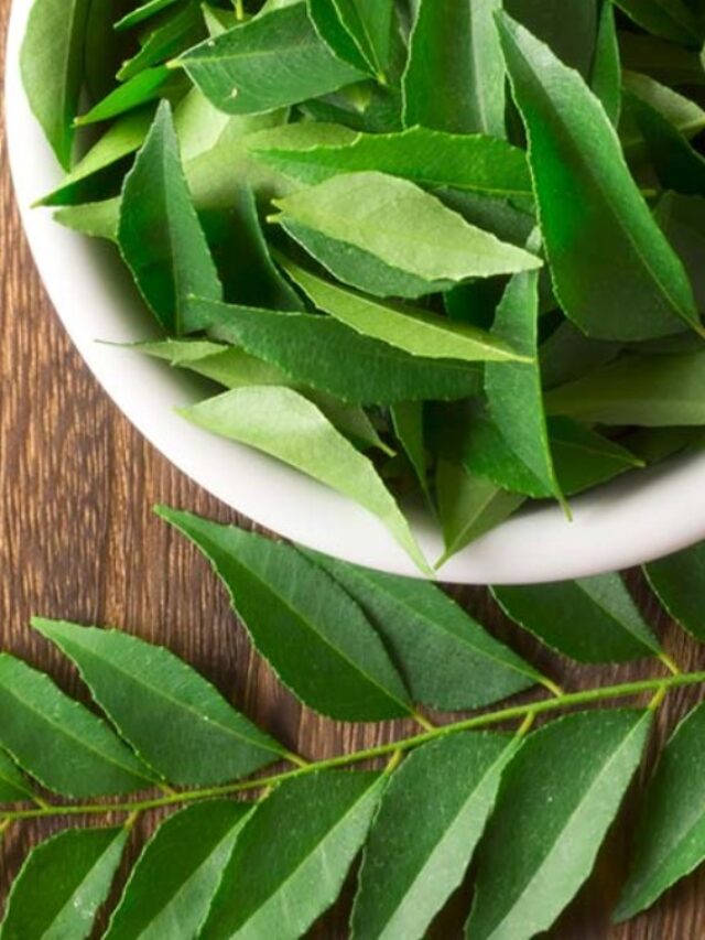 Benefits Curry Leaves for Weight Loss